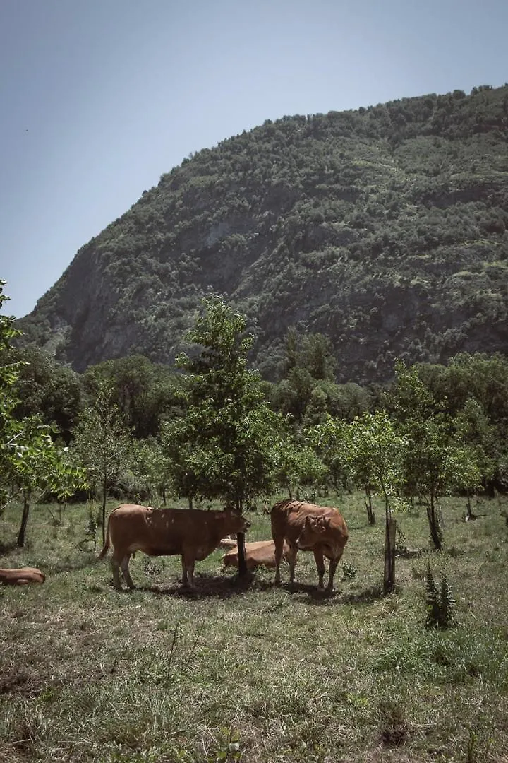Pyrenees Boutx - Grand Gite De Caractere