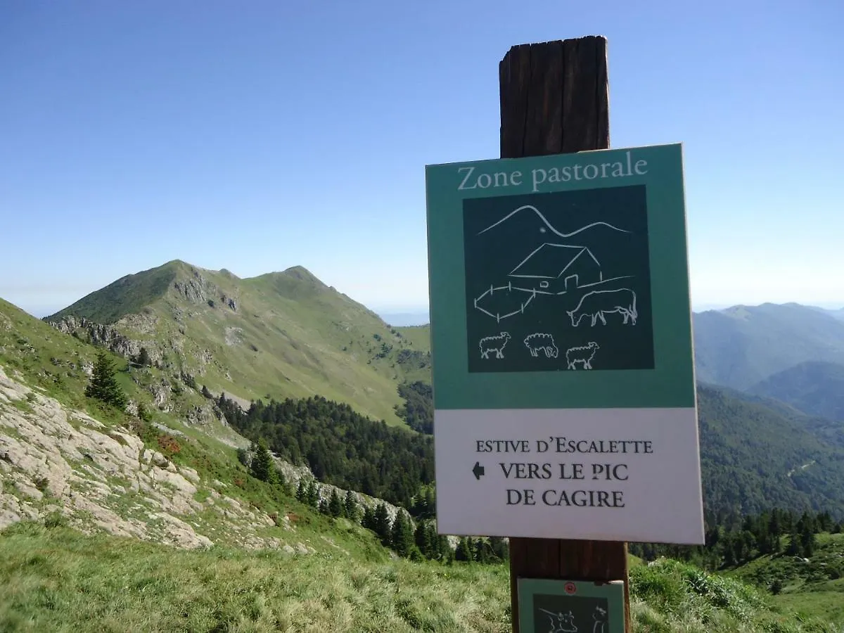 Pyrenees Boutx - Grand Gite De Caractere France
